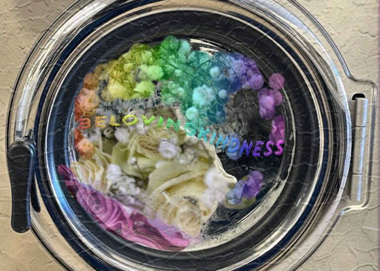 Collage_Draft_3_2.15.2025_Washing_Machine