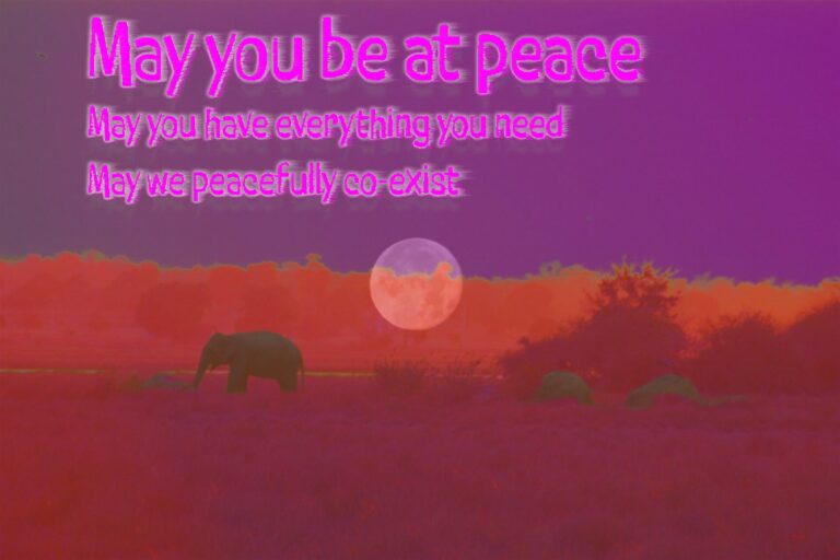 Elephant peace revised