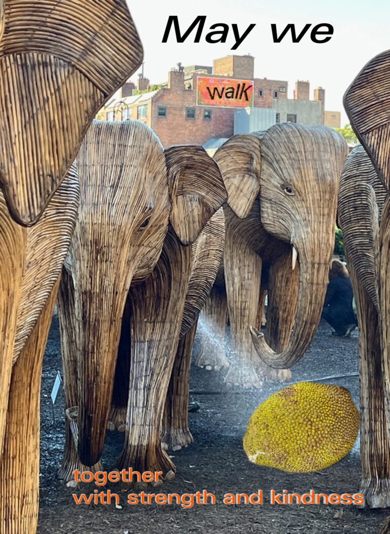 elephants two