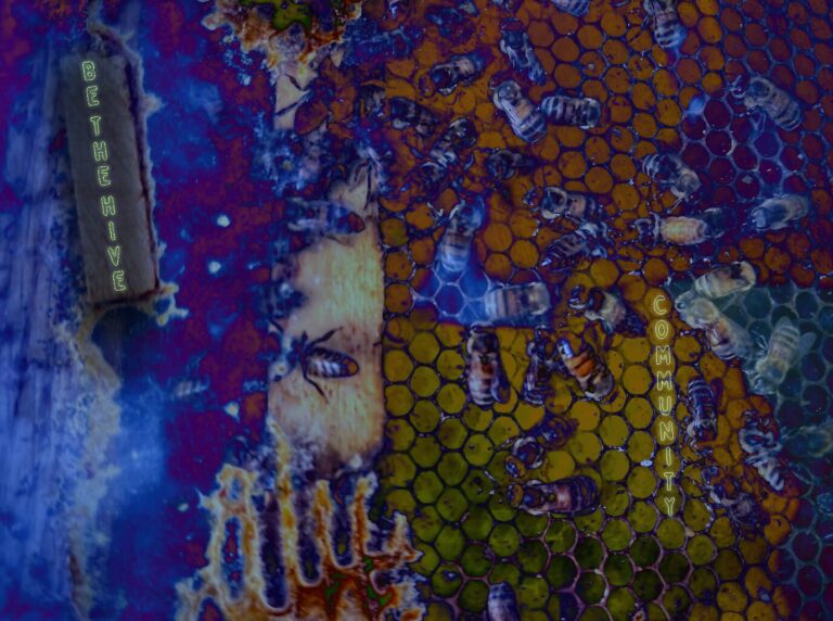 BeeHive revised