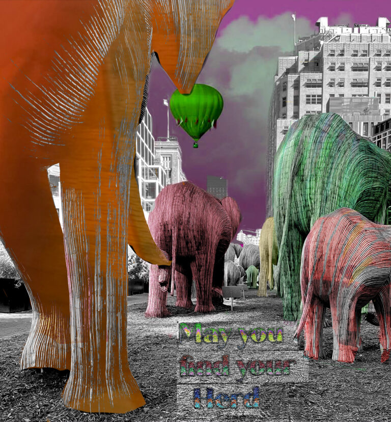 Elephants New York